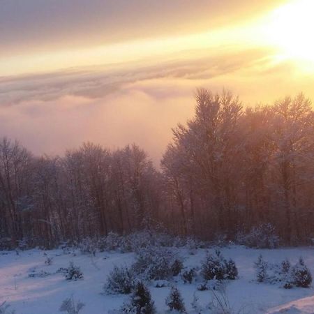 Goma Kop Apartmani Kopaonik Esterno foto