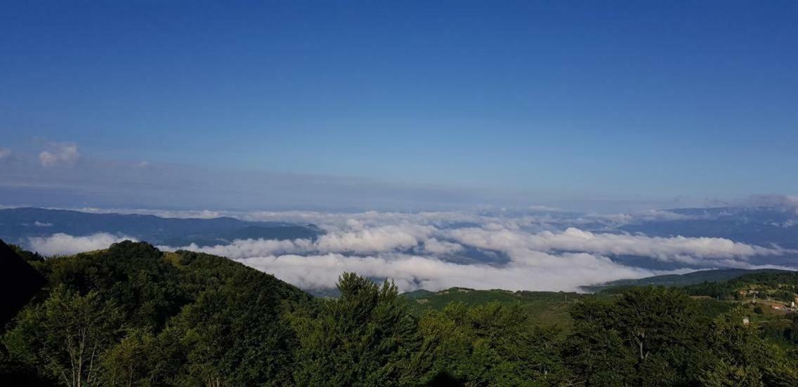 Goma Kop Apartmani Kopaonik Esterno foto